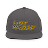 Tint World-Snapback Hat