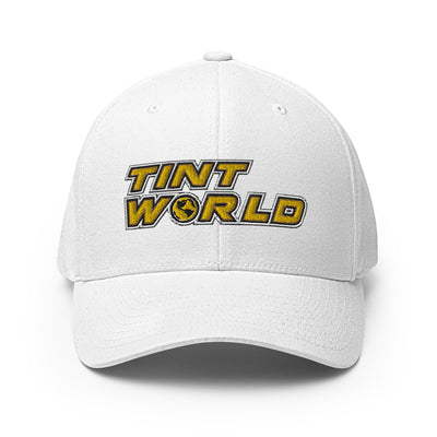Tint World-Structured Twill Cap